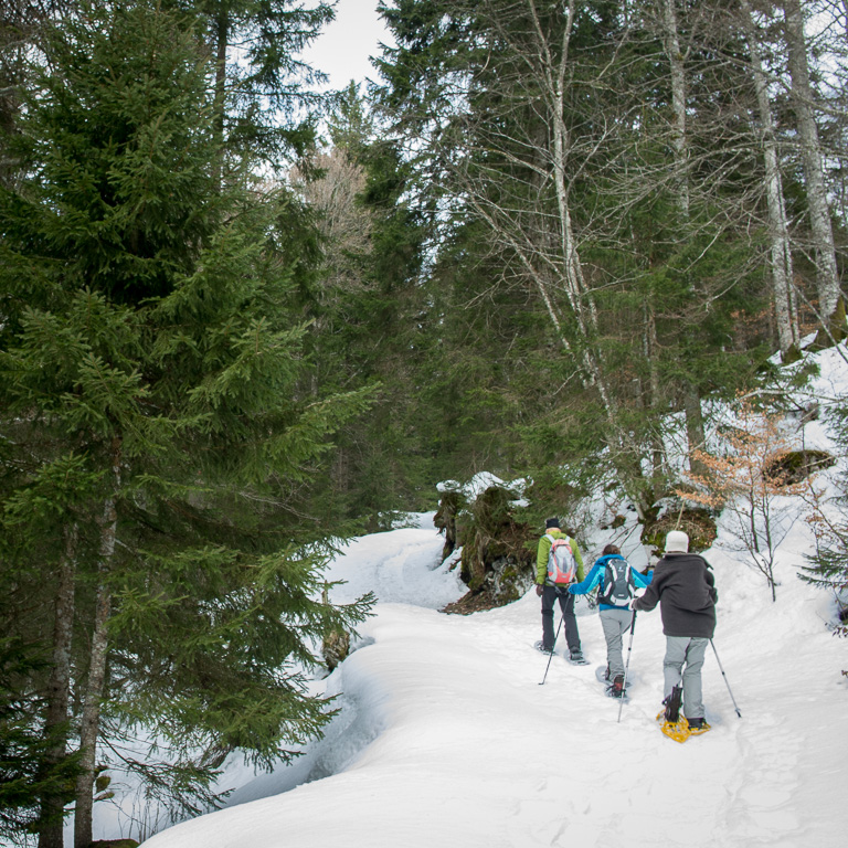 Snow shoe hike with Cecile and Ruedi